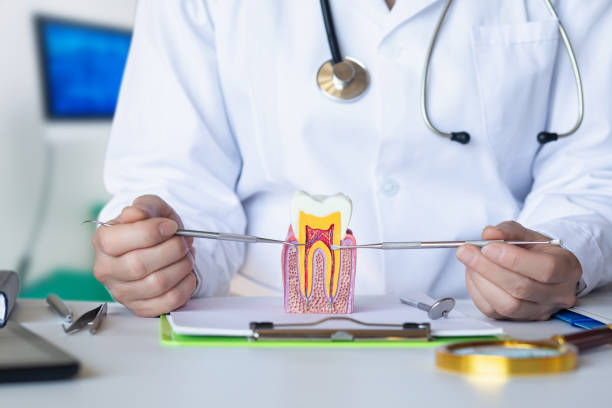 Best Emergency Treatment for Dental Infections or Abscesses in Ambler, PA